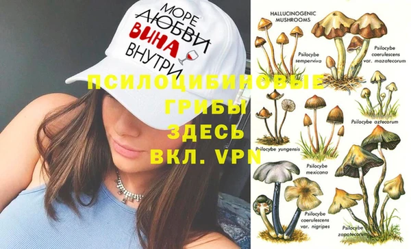 соль курить ск Надым