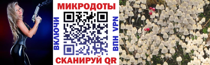 Псилоцибиновые грибы мицелий  как найти   Ржев 